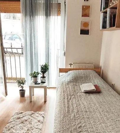 Hummingbird's Nook * Nowy Sad
