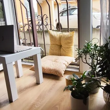 Hummingbird's Nook
