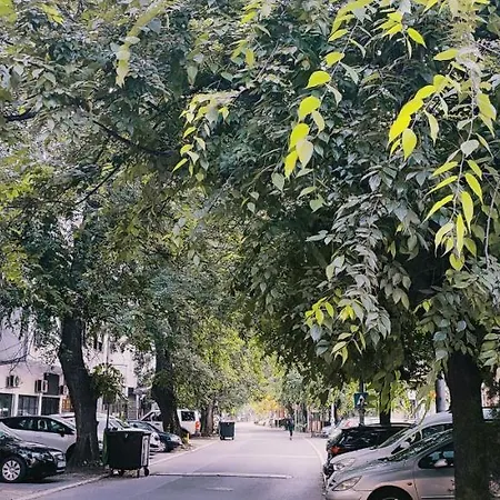 公寓 Hummingbird's Nook 诺威萨