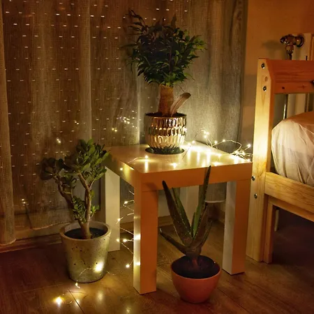 Hummingbird's Nook Apartament Nowy Sad
