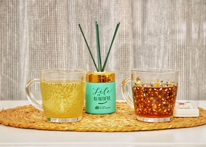 Hummingbird's Nook Apartman Novi Sad